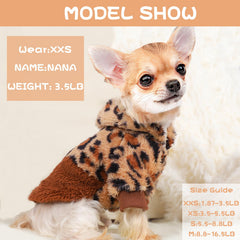 Sebaoyu-teacup-dog-wearing pose demonstrates small breed warmth and everyday comfort.