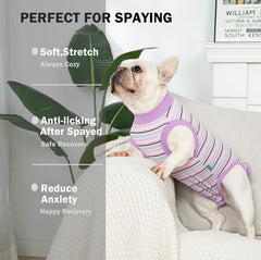 Sebidtco dog surgery onesie female spay illustrating easy on/off design