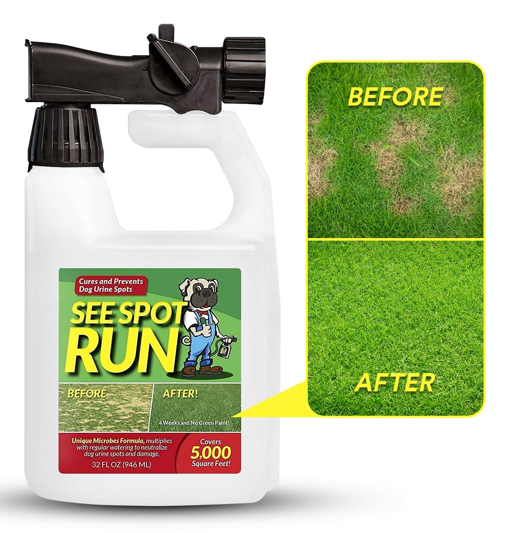 See Spot Run lawn protection concentrate bottle shows targeted repair for yellow urine spots.