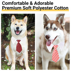 Segarty dog tie medium on-dog wearing demonstrates a dapper look for photos and events