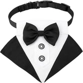 Segarty formal dog tuxedo bandana on a dog, perfect for wedding photos.