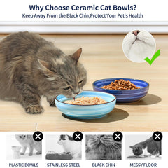 Selamica bowls showcase whisker-friendly design reducing contact stress.