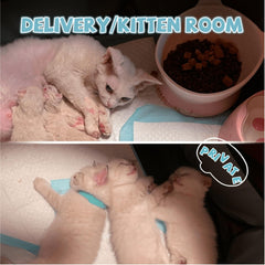 SENCONE interior space in the pet playpen suitable for kittens