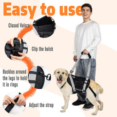 Senior Budday full-body sling polyester mesh highlights breathable fabric for all-day wear.