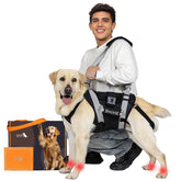 Senior Budday dog lift harness full-body sling demonstrates even weight distribution for joint comfort.