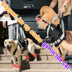 Senior Budday harness handle design shows easy single-handed securing for mobility support.