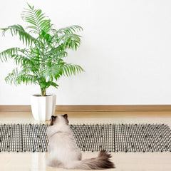 SenseYo Pomeat spikes closeup showing humane deterrent design