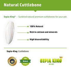 Sepia King cuttlebone for tortoises aids shell health and mineral balance.