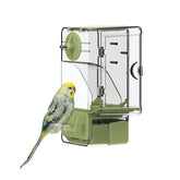 Septillar automatic feeder exterior view green shows a tidy, cage-friendly design for busy birdrooms.