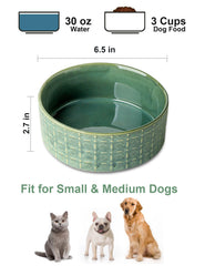 Seyatoo ceramic dog bowl with dry food illustrates tidy portioning