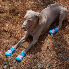 SGSPET dog shoes blue reflective strips boost visibility during night walks