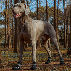 SGSPET dog shoes waterproof boot side view shows rugged exterior protection