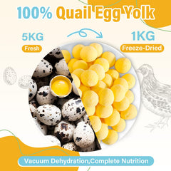 SHANDR freeze-dried quail egg yolk crumb-texture shows easy-to-sprinkle bits for meals.