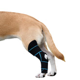 SHARKBEEPOWER dog knee brace back leg stabilizes the rear knee for ACL support.