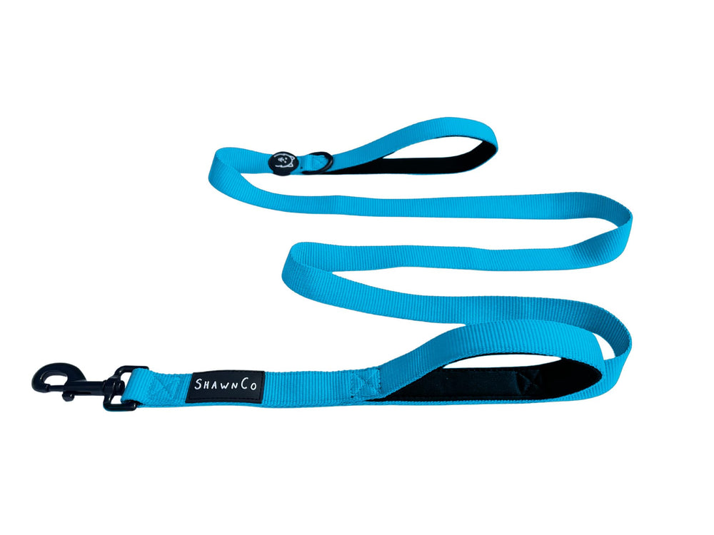 ShawnCo Dream Walk Leash Oceanic Blue close-up showing durable nylon for daily walks