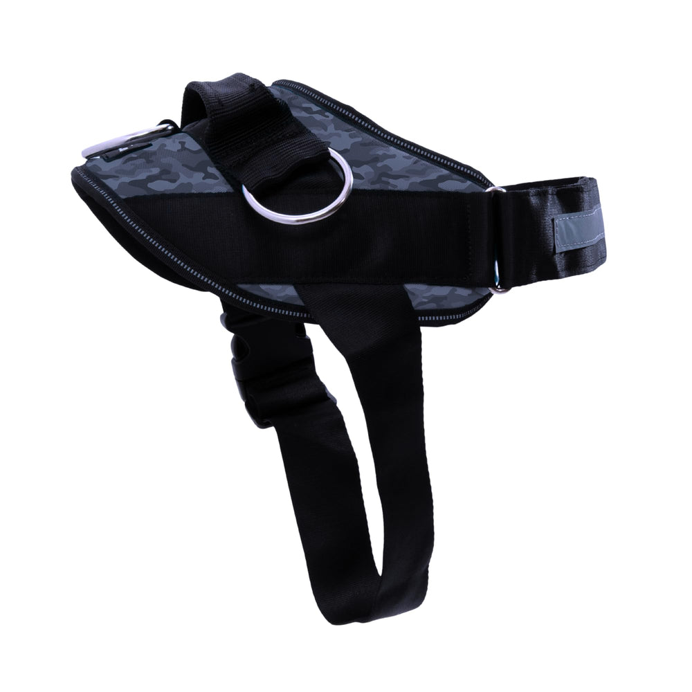 ShawnCo Essential harness shows three leash points for customizable no-pull walks.