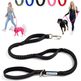 Shed Defender shock absorbing bungee leash close-up showing rugged build for safer walks.