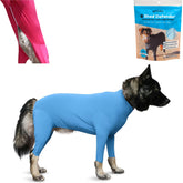 Shed Defender Sport dog onesie demonstrates shedding containment for a cleaner home.