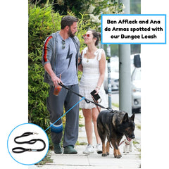 Shed Defender stretch-length-4-7ft leash demonstrates adjustable reach for close control or relaxed roaming.