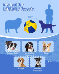 SHEENLULU Herding Ball durable outer shell resists kicks and bites.