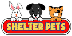 Shelter Pets Chops dog plush display-ready packaging for gifting.