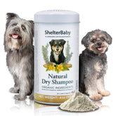 ShelterBaby dry shampoo on dog coat for quick refresh and gentle itch relief.