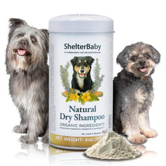 ShelterBaby dry shampoo on dog coat for quick refresh and gentle itch relief.