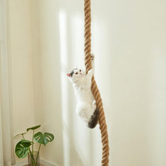 SHENGOCASE cat climbing rope with screws offers sturdy installation for long-lasting use.