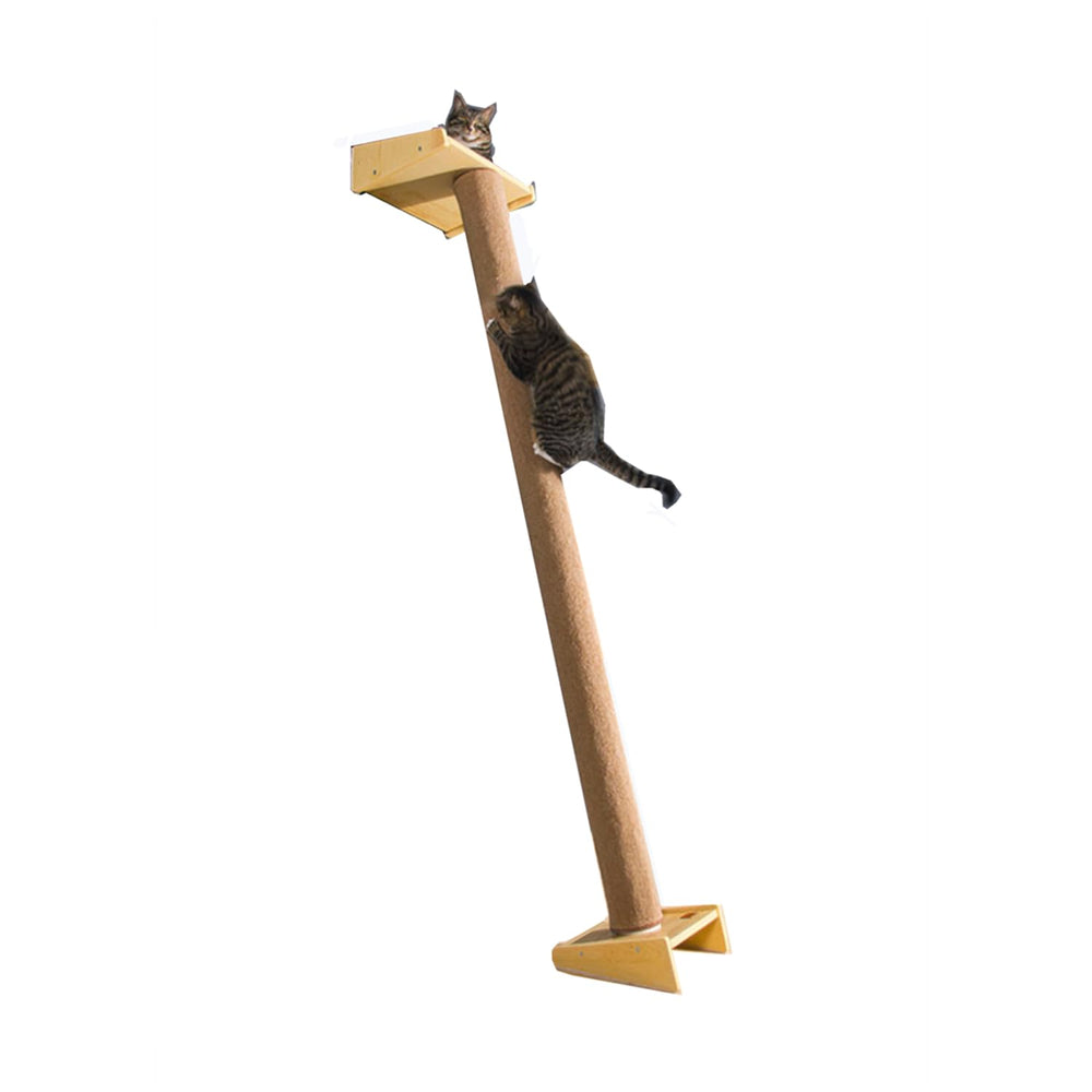 SHENGOCASE modern cat tree top perch provides elevated view during playtime and rest.
