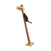 SHENGOCASE modern cat tree top perch provides elevated view during playtime and rest.