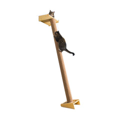 SHENGOCASE modern cat tree top perch provides elevated view during playtime and rest.