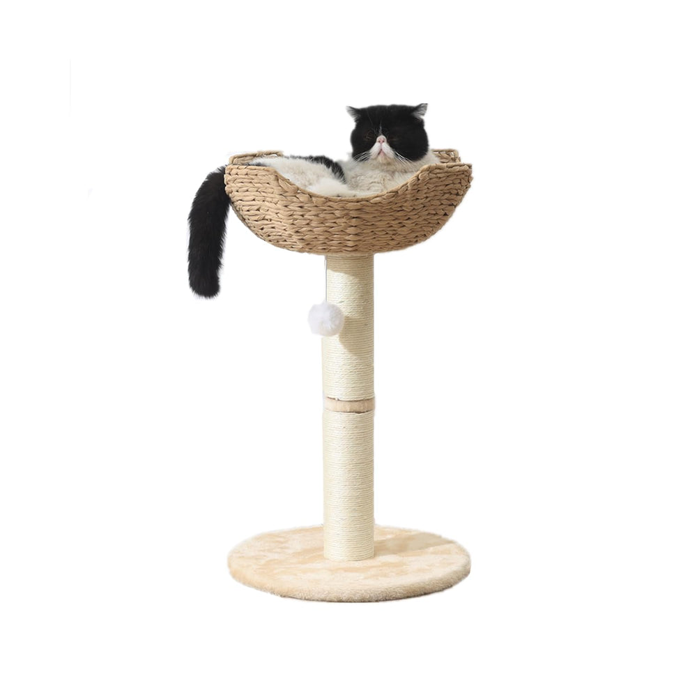 SHENGOCASE small cat tree tower with basket view—cozy window perch for large cats.