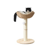 SHENGOCASE small cat tree tower with basket view—cozy window perch for large cats.
