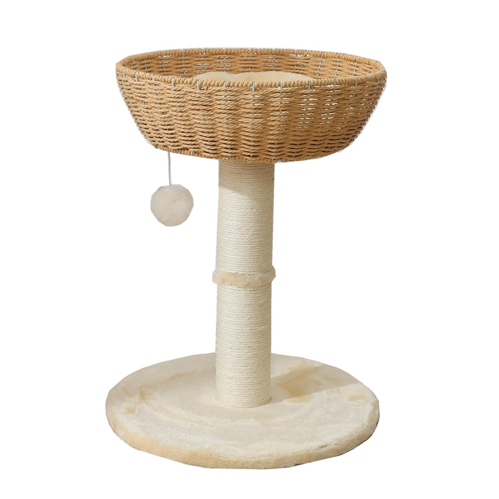 SHENGOCASE window perche for large cats offering sunny view and comfy lounging spot