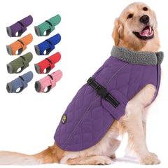 Sheripet dog coat winter purple XXL shown on a large dog for warmth in cold weather