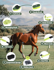 ShineWell dandy brush for gentle dirt removal across coats.
