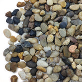 SHIZWU 20lb river gravel 8-12mm mix for vase filling, adds natural color and texture
