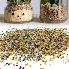SHIZWU quartz sand for cactus bonsai: stabilizes potting mix while adding natural texture
