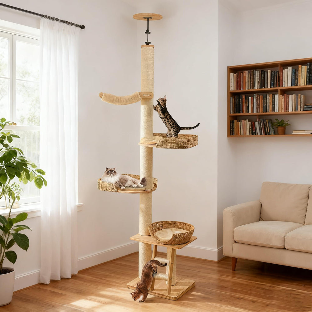 SHODMI floor-to-ceiling cat tree in corner fits tight spaces for active cats