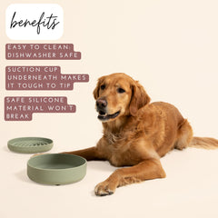 Should We Go? water bowl demonstrating 8-cup capacity for large dogs