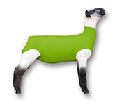 Showpro Outfitting Champions neon green lamb tube on a lamb for a snug, show-ready fit.