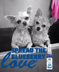 Showseason packaging and label for South Bark's Blueberry Cologne, eco-friendly materials