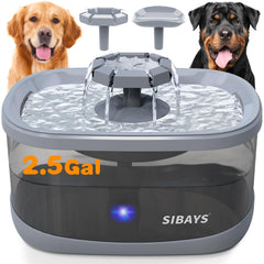 SIBAYS FS68 large-capacity 2.5gal fountain showing steady hydration for multiple pets
