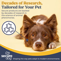 SIGNS SecureDog diffuser demonstrates room coverage up to 600 sq ft in home.