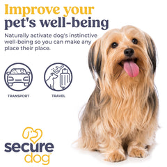 SIGNS SecureDog Transport travel scene shows simple setup supporting adaptation.