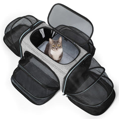 Siivton cat carrier airline-approved design for safe travel.
