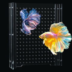 SIKGFPN acrylic fish tank divider in 15-gallon setup helps safer tank zoning.