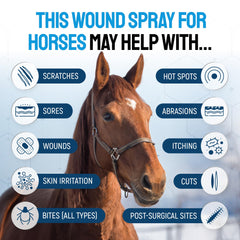 SILVER GRADE wound spray application on horse leg for minor injuries.