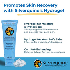 Silverquine dog wound care gel application close-up shows easy, non-sticky adhesion to affected skin.
