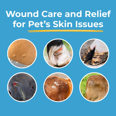Silverquine wound gel bottle close-up highlighting the label and silver solution for pets.